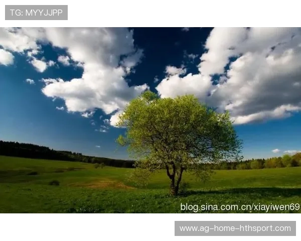 布莱顿在后场传导中展现从容：足球哲学的全新境界